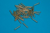 RB35D16 Brass nails/rivets 50 pcs
