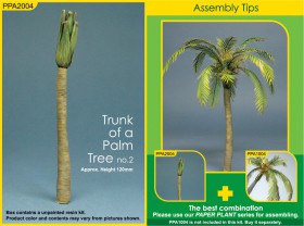 PPA2004 Trunk of a Palm Tree (no. 2)