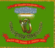 FT165 Irish regiments