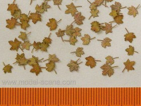 L3-101 Maple - Extra colours, autumn