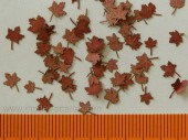 L3-201 Maple - dry leaves