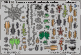 EDU-36198 Fauna - small animals - colour