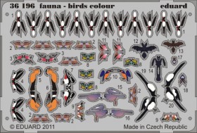 EDU-36196 Fauna - birds colour
