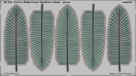 EDU-36210 Leaves Palm Cocos Nucifera colour