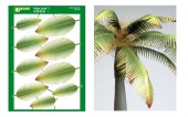 PPA1003 Palm Leaf 1