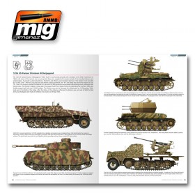 AMIG6001 CAMOUFLAGE GUIDE
