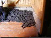 23249 Briquettes 