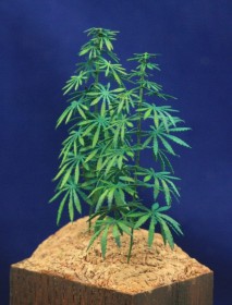 GL-117-1-CHA Green Line-Hemp Plants / Cannabis Plants Set 1, 2 Hemp Plants