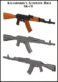 EMA-35022 Kalashnikov AK-74 (two pieces)