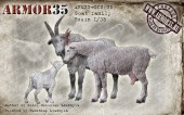 ARM35-012(3D) Козёл, коза, козлёнок