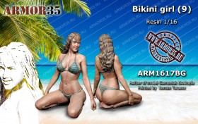 ARM1617BG Девушка в бикини (9)