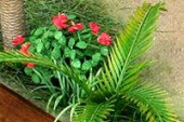 A-4-35 Hibiscus and Coconut palms (small)